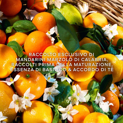 Aqua Allegoria Mandarine Basilic Harvest