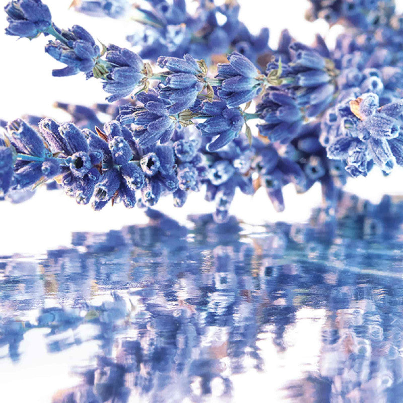 Mon Guerlain Eau de Parfum