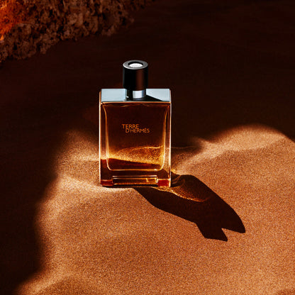 Terre D'Hermes Eau de Toilette