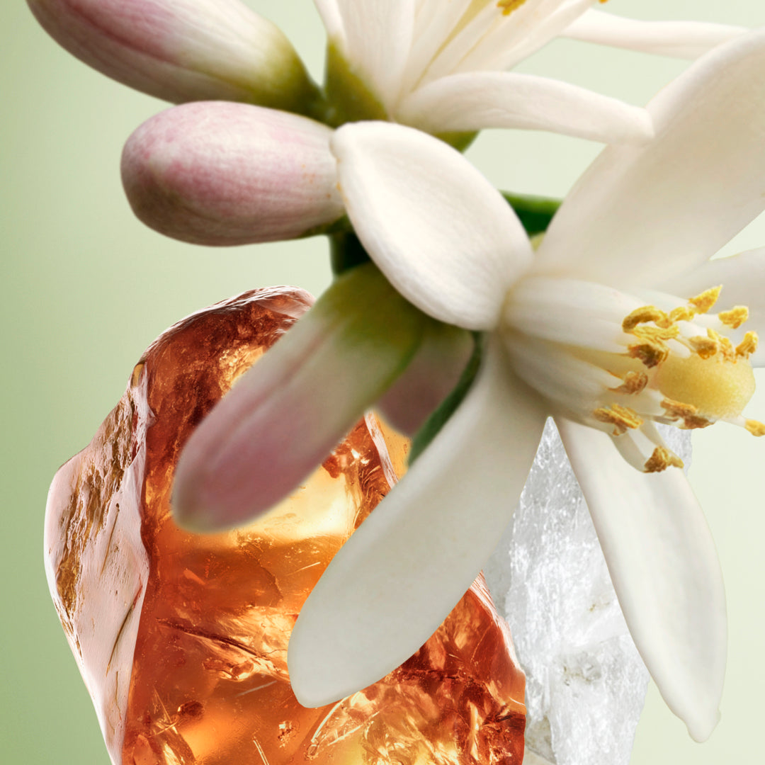 Prada Paradoxe Eau de Parfum