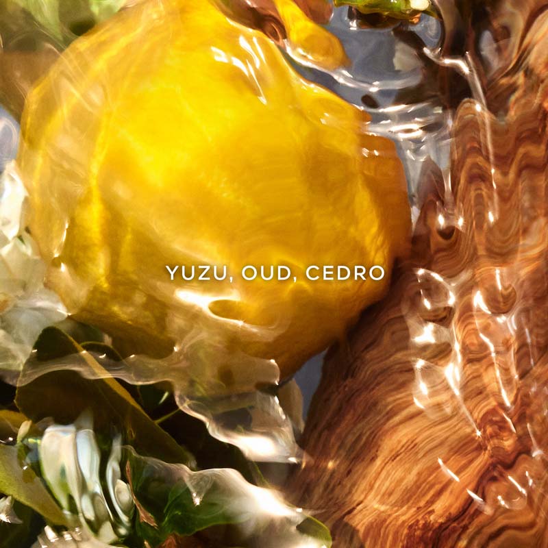 Aqua Allegoria Oud Yuzu Forte*