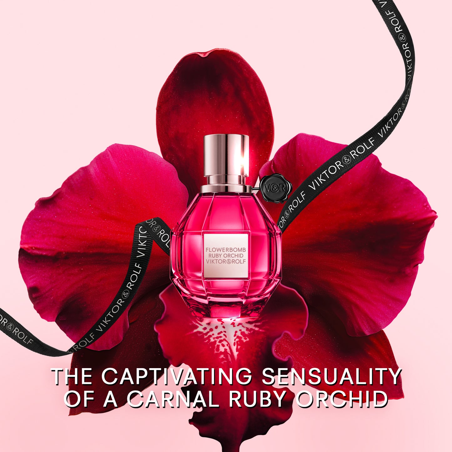 Flowerbomb Ruby Orchid