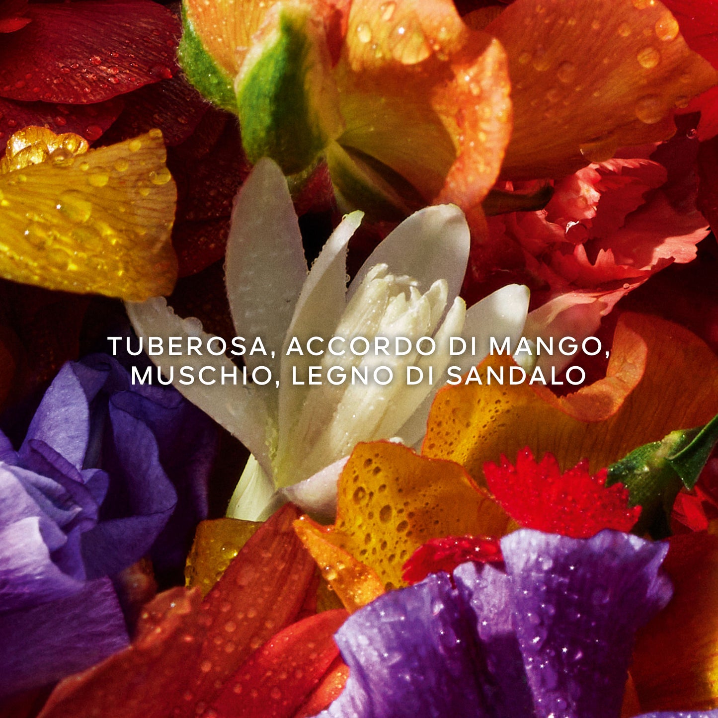 Aqua Allegoria Florabloom Forte Confezione