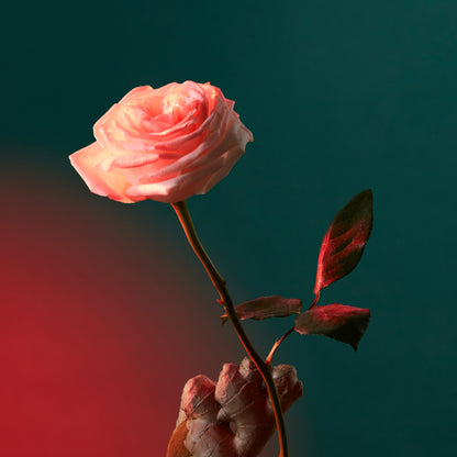 Penhaligon's Liquid Love - Potions