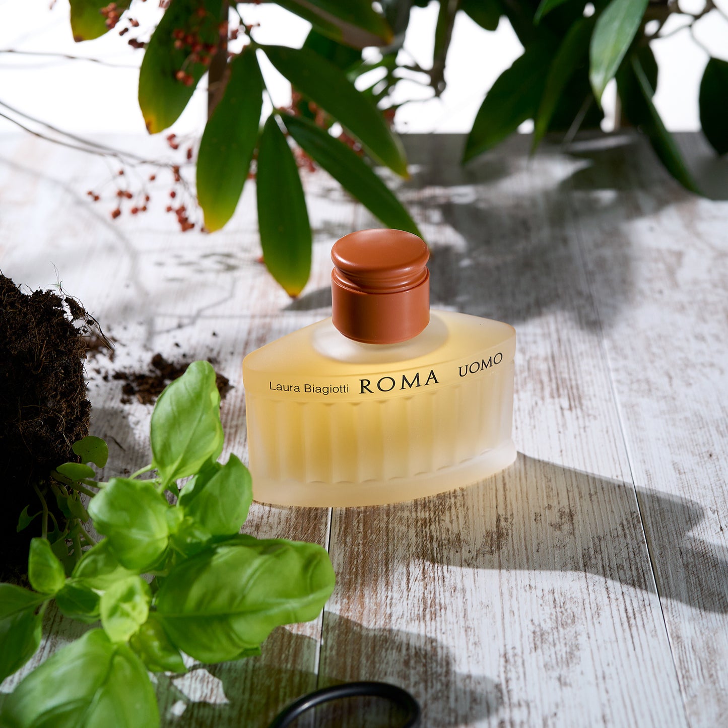 Roma Uomo Eau de Toilette 200 ML