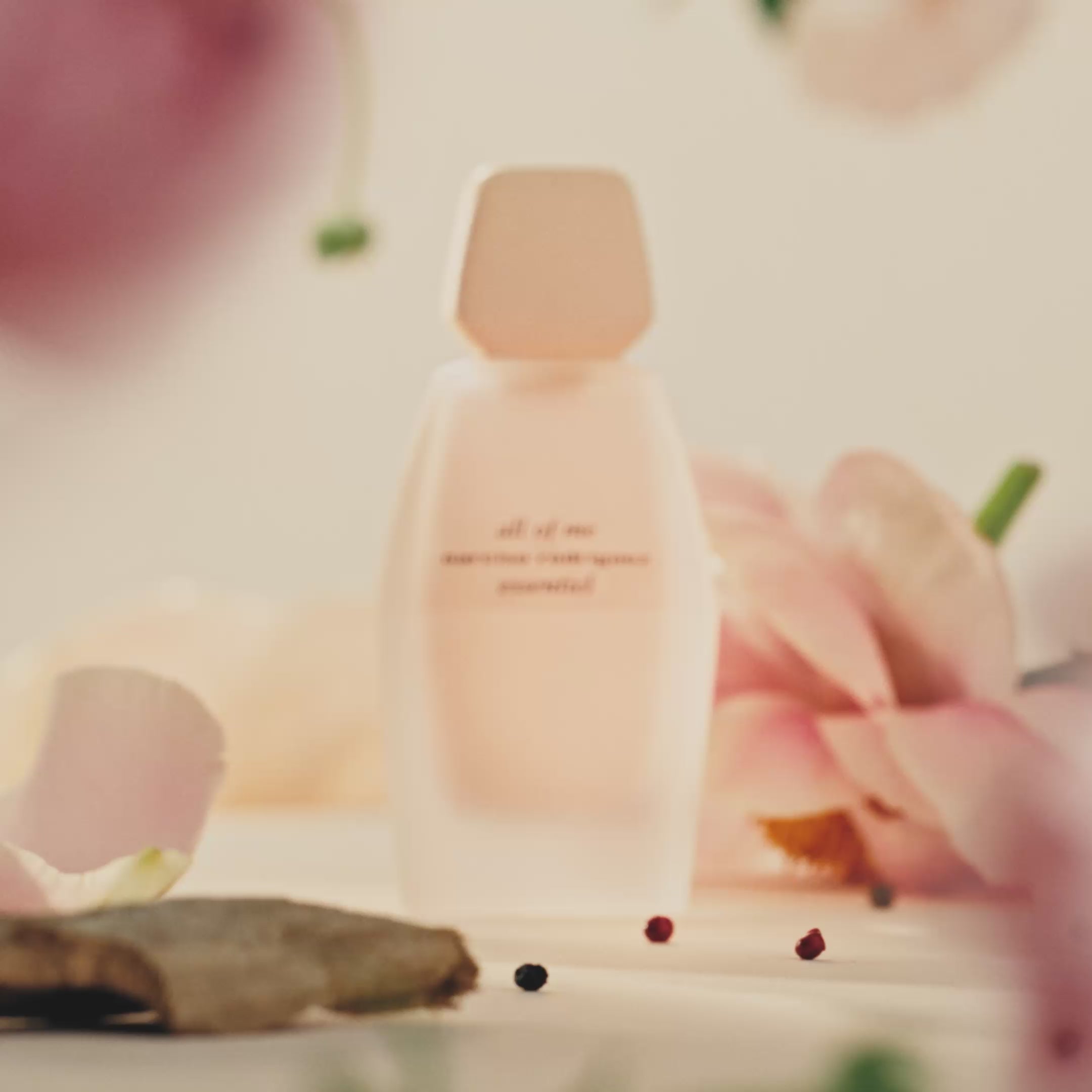 Carica il video: 